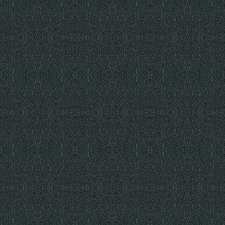 Stamskin Top Black upholstery color sample