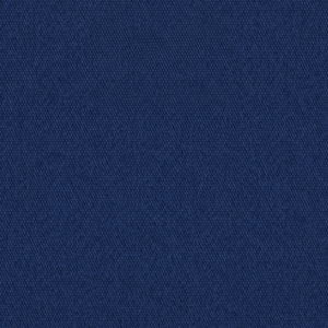 CUSA marine canvas swatch