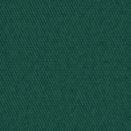 Canvas USA® Signature I Houston Green marine acrylic canvas